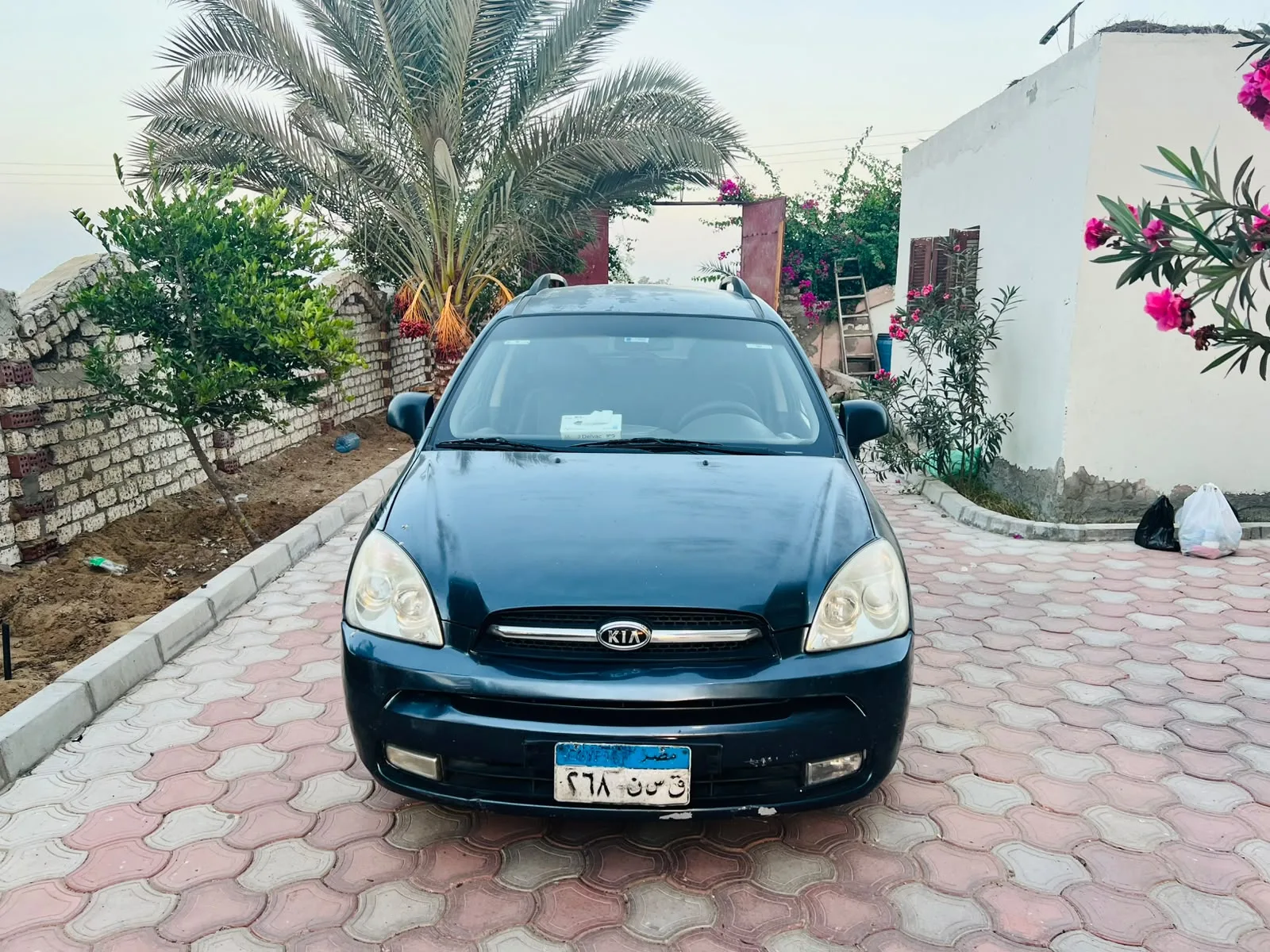Kia Carens 2010